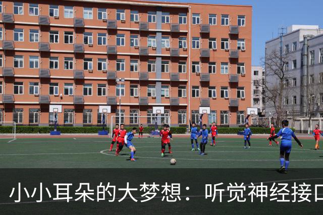 小小耳朵的大梦想：听觉神经接口带来的新希望