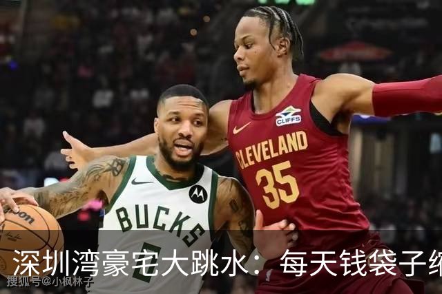 深圳湾豪宅大跳水：每天钱袋子缩水2万的悲惨故事